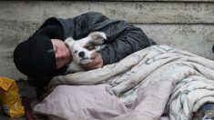 Amiens : touchée par la détresse d’un jeune SDF et de son chien, elle leur offre une nuit d’hôtel