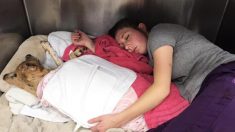 « Je suis restée figée là, à pleurer » : une vétérinaire dort dans la cage d’un chien gravement brûlé pour le réconforter