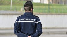 Marne : un agriculteur tire sur un voleur de carburant et le blesse, il est mis en examen pour tentative d’homicide