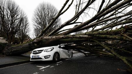 Caen : arraché par le vent, un tilleul s’effondre sur une voiture et la pulvérise entièrement