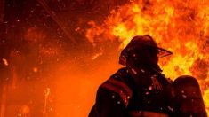 Bretagne: un violent incendie détruit quatre hectares de maquis en Ille-et-Vilaine