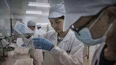 Lors d’une réunion sur l’épidémie de coronavirus, le président de la République populaire de Chine a exigé que la sécurité des laboratoires devienne une question de «sécurité nationale»