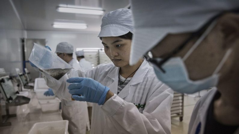 Des techniciens de laboratoire chinois dans un laboratoire d'étude des maladies tropicales de la ville de Guangzhou, dans la province de Guangdong, en Chine, le 21 juin 2016. (Kevin Frayer/Getty Images)