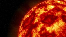 La NASA a capté des sons « étranges » venant du Soleil – six fichiers audio sont disponibles en ligne