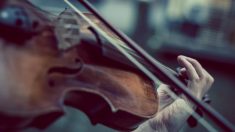 Londres: pendant son opération du cerveau, une violoniste joue du violon pour sauver sa main