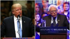 Selon Trump, les démocrates « ne laisseront pas gagner » Bernie Sanders