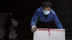Des fonctionnaires chinois autorisés à saisir des biens personnels pour contrer l’aggravation de la crise du coronavirus