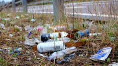 Eure : ils jettent leurs ordures dans la nature, le maire les renvoie à leur domicile