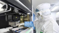 Le laboratoire Wuhan Bioresearch serait la source du coronavirus, selon un expert et des internautes chinois