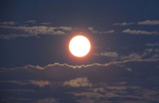 "Super Lune" d'avril 2020. (Photo : Suzanne Durand/TheEpochTimes)