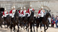 Un ancien soldat adopte un cheval militaire à la retraite 20 ans après leur rencontre: «Il m’a reconnu instantanément»