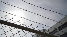 Coronavirus dans les prisons : 5 prisonniers  et 9 agents testés positifs, 230 détenus placés en confinement