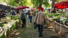 Un quart des marchés alimentaires vont rouvrir en France, sous condition sanitaire stricte