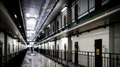Prison de Fresnes : une infirmière testée positive au Covid-19