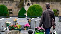Ille-et-Vilaine : faute de pouvoir vendre ses fleurs, il vient fleurir les cimetières de sa commune