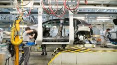 Covid-19 : le constructeur automobile PSA va fermer tous ses sites de production en France