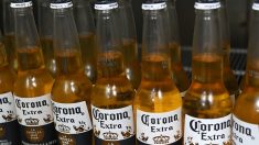 « 2 Corona achetées, une Mort Subite offerte“ : promotion insolite d’un commerçant belge sur les bières