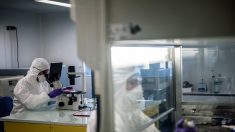 5 226 hospitalisations et 450 décès en France suite au coronavirus de Wuhan