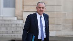 Covid-19 :  pas de pénurie alimentaire en France, insiste le ministre de l’Agriculture