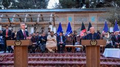Afghanistan : l’Otan appelle à « une pause humanitaire des combats »