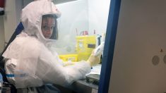 Coronavirus : un médicament possible pour « début 2021 », selon l’institut Pasteur de Lille