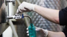 Virus de Wuhan: des distilleries cèdent leurs stocks d’alcool pour produire du gel hydroalcoolique