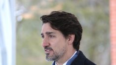 Virus du PCC: le Canada vote un plan d’aide de plus de 100 milliards de dollars