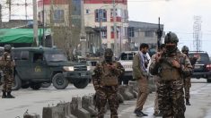 Afghanistan: au moins 25 morts dans l’attaque de l’EI contre un temple hindou-sikh
