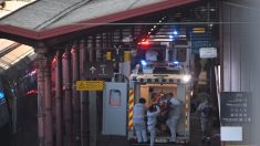 Strasbourg : les premiers patients contaminés par le virus du PCC embarqués à bord du TGV médicalisé