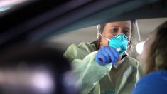Coronavirus: Six laboratoires ouvrent un drive pour dépister les malades à Poitiers et dans la Vienne