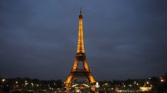 La Tour Eiffel rendra hommage tous les soirs aux personnes mobilisées contre le virus du PCC