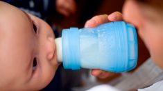 Larves retrouvées dans du lait infantile : « Faut arrêter de nous prendre pour des poires ! »