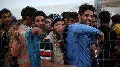 La Grèce et l’UE offre « 2 000 » euros aux migrants pour rentrer dans leurs pays d’origine