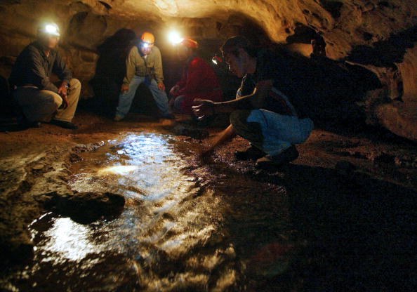 -Illustration- Une équipe d'archéologues et de spéléologues ont découvert dans la forêt gabonaise, une grotte avec une multitude d'ossements humains. Photo ELMER MARTINEZ / AFP via Getty Images.