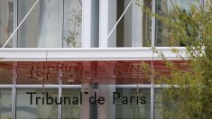 Mère de famille éborgnée en Seine-Saint-Denis : deux policiers acquittés pour « légitime défense »