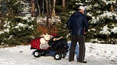 «Elle ferait la même chose pour moi»: une photo déchirante d’un homme remorquant un chien paralysé dans un chariot rouge devient virale