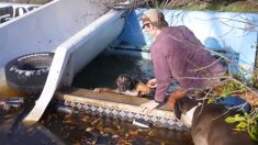 Des chiens errants exhortent deux adolescents à sauver leur ami chien qui se noie dans un parc aquatique abandonné