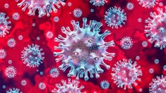 Que sont les virus et pourquoi nous rendent-ils malades?