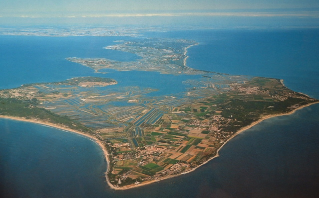 L'île de Ré (Wikimedia/Zassenhaus/CC 3.0)