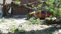 Gironde: une tornade pendant la tempête Léon endommage centaines d’habitations