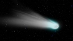Une comète dont l’atmosphère fait la moitié de la taille du Soleil sera visible à l’œil nu en avril