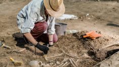 Des scientifiques ont découvert la plus ancienne peste humaine à partir des restes d’une femme de 5 000 ans