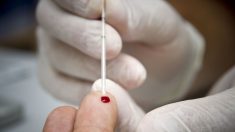 La Bretagne donne 250 000 euros pour le fabricant de tests de dépistage rapide au coronavirus