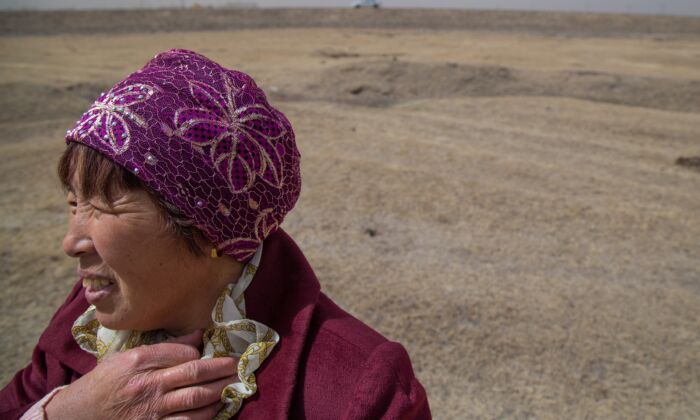 Feng Zhi Tian, une productrice laitière de Mongolie-intérieure, regarde les prairies de Tuanjiecun, en Mongolie-intérieure, en Chine, le 30 avril 2019. (Betsy Joles/ Getty Images)