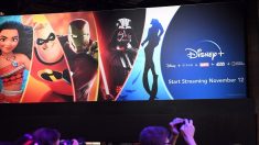 Disney+ lancé en France avec un débit réduit