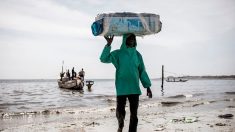 Sénégal: le coronavirus, « malédiction » des pêcheurs