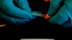 Belgique: la biotech ZenTech va produire des tests sérologiques en masse