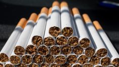 La nicotine est-elle une arme potentielle contre le virus du PCC ?