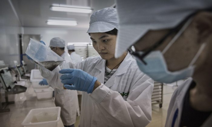 Des techniciens de laboratoire chinois dans un laboratoire d'étude des maladies tropicales dans la ville de Guangzhou, province de Guangdong, en Chine, le 21 juin 2016. (Kevin Frayer/Getty Images)