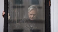Julian Assange a eu deux fils avec son avocate quand il était réfugié à l’ambassade d’Équateur